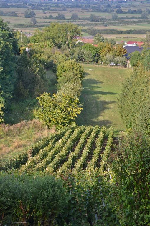 Green Zelina Villa Sulinec Exteriör bild